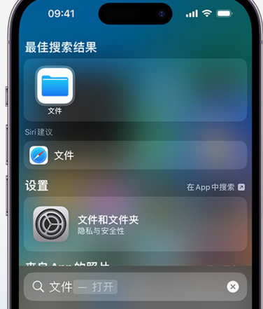 东川apple维修中心分享iPhone文件应用中存储和找到下载文件