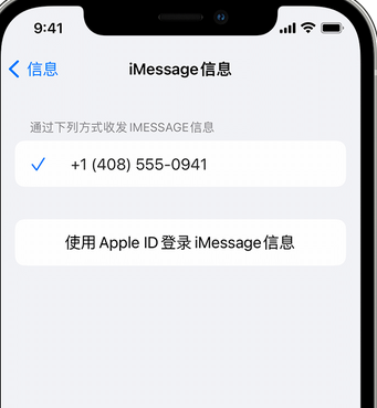 东川apple维修iPhone上无法正常发送iMessage信息 