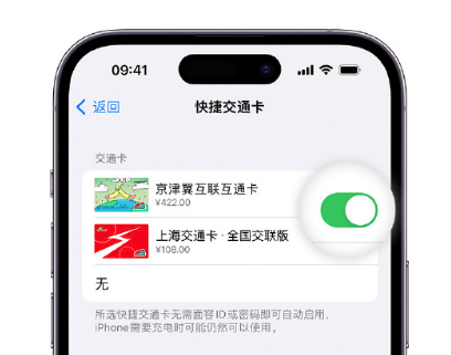 东川apple维修点分享iPhone上更换Apple Pay快捷交通卡手绘卡面 