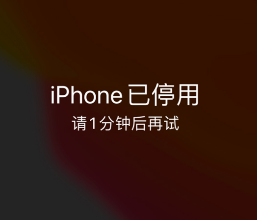 东川苹果手机维修分享:iPhone 显示“不可用”或“已停用”怎么办？还能保留数据吗？ 