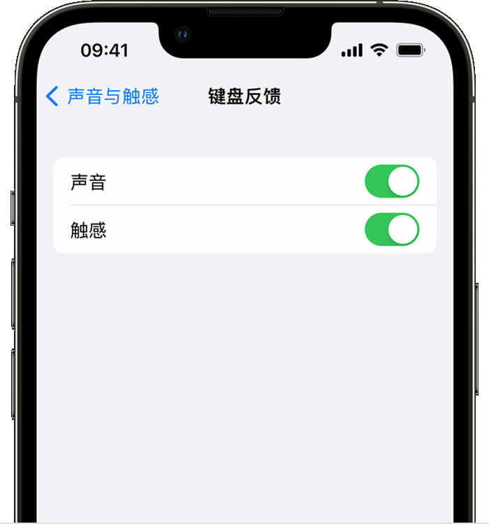 东川苹果14维修店分享如何在 iPhone 14 机型中使用触感键盘 