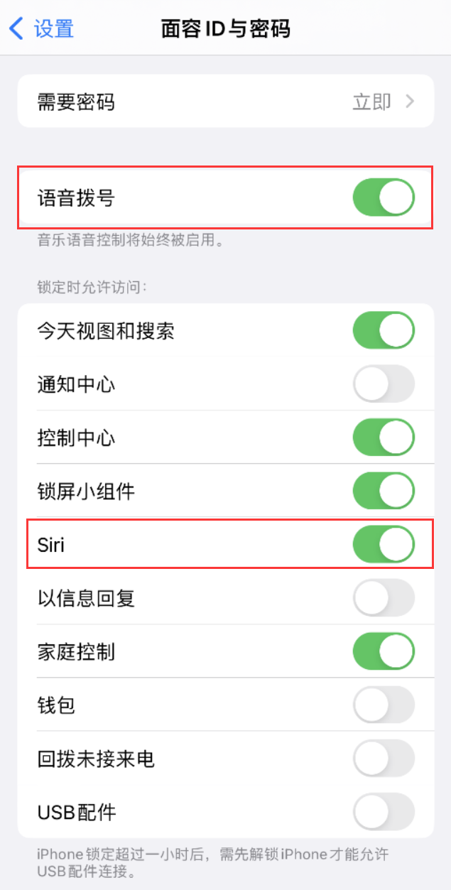 东川苹果维修网点分享不解锁 iPhone 的情况下通过 Siri 拨打电话的方法 