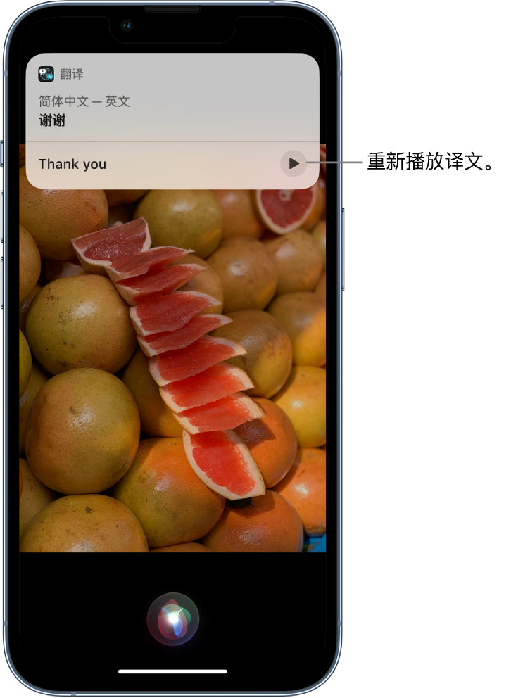 东川苹果14维修分享 iPhone 14 机型中使用 Siri：了解 Siri 能帮你做什么 