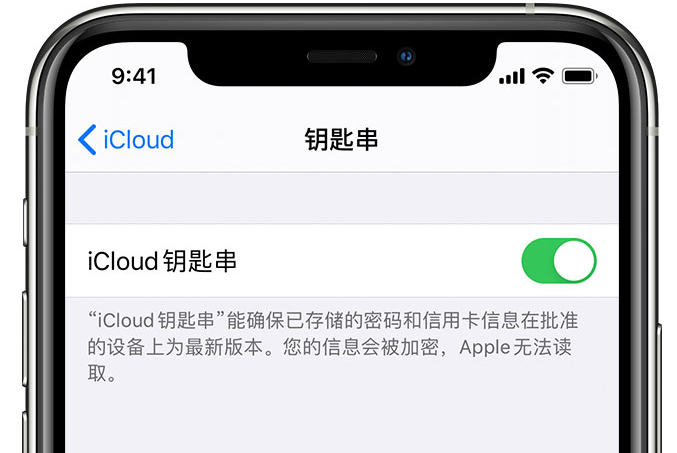 东川苹果手机维修分享在 iPhone 上开启 iCloud 钥匙串之后会储存哪些信息 