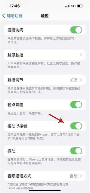 东川苹果手机维修分享iPhone手机如何设置摇一摇删除文字 